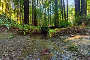 16125 Bittner Rd, Occidental, CA 95465 - Photo 8