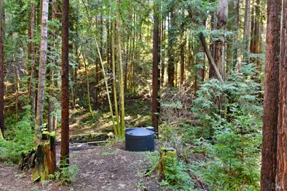 16125 Bittner Road, Occidental, CA 95465 - Photo 20