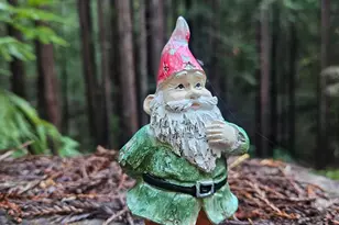 16125 Bittner Rd, Occidental, CA 95465 - Photo 32