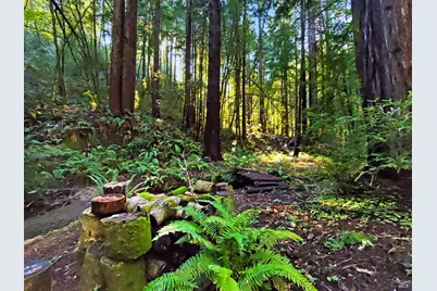 16125 Bittner Road, Occidental, CA 95465 - Photo 12