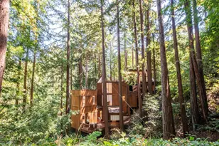 580 Ralston Ave, Mill Valley, CA 94941 - Photo 50