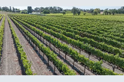 3000 River Road, Windsor, CA 95492 - Photo 2