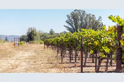 3000 River Road, Windsor, CA 95492 - Photo 4