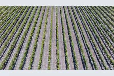 3000 River Road, Windsor, CA 95492 - Photo 18