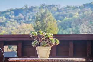 11 Badger Ct, Novato, CA 94949 - Photo 46