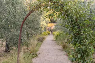 601 Rossi Rd, Saint Helena, CA 94574 - Photo 28