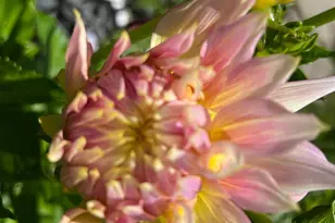 1417 Deer Ln, Sebastopol, CA 95472 - Photo 44