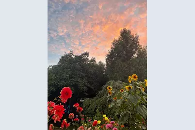 1417 Deer Lane, Sebastopol, CA 95472 - Photo 50