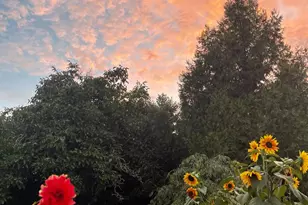 1417 Deer Ln, Sebastopol, CA 95472 - Photo 50