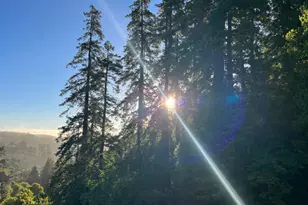 70 Madrone Park Cir, Mill Valley, CA 94941 - Photo 36