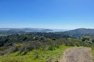 70 Madrone Park Cir, Mill Valley, CA 94941 - Photo 38