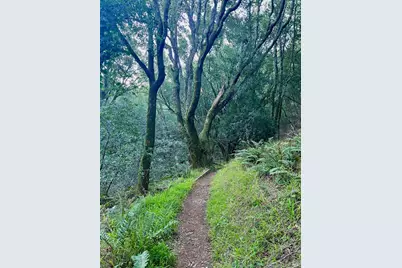 70 Madrone Park Circle, Mill Valley, CA 94941 - Photo 34