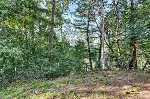 10701 Orr Springs Rd, Ukiah, CA 95482 - Photo 34