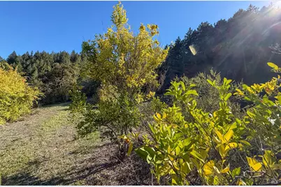 2300 Brack Road, Healdsburg, CA 95448 - Photo 30