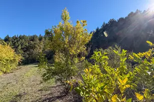 2300 Brack Rd, Healdsburg, CA 95448 - Photo 30