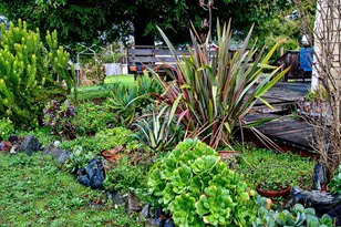 17750 Barbizon Ln, Fort Bragg, CA 95437 - Photo 64