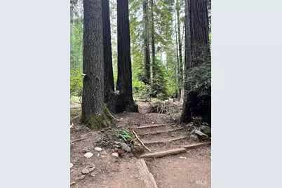 46251 Pacific Woods Road, Gualala, CA 95445 - Photo 2