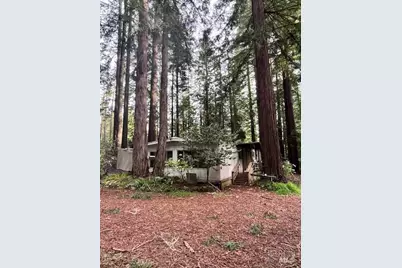 46251 Pacific Woods Road, Gualala, CA 95445 - Photo 6