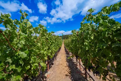 4094 E 3rd Avenue, Napa, CA 94558 - Photo 18