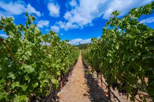 4094 E 3rd Ave, Napa, CA 94558 - Photo 18