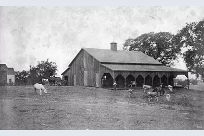 2875 Woolsey Road, Windsor, CA 95492 - Photo 58