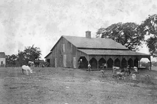 2875 Woolsey Rd, Windsor, CA 95492 - Photo 58