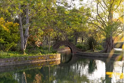 2875 Woolsey Road, Windsor, CA 95492 - Photo 8