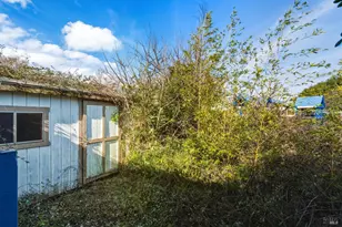 921 Jones St, Berkeley, CA 94710 - Photo 16