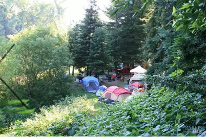 8400 River Road, Forestville, CA 95436 - Photo 6