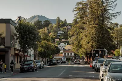 529 Alta Way, Mill Valley, CA 94941 - Photo 66