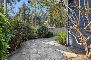 529 Alta Way, Mill Valley, CA 94941 - Photo 52