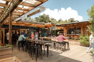 529 Alta Way, Mill Valley, CA 94941 - Photo 58