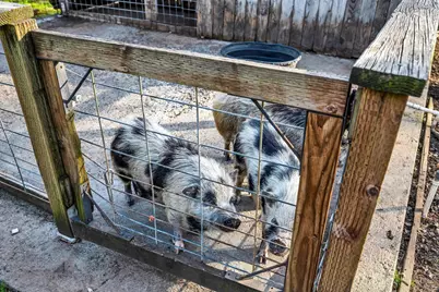 5963 Eickhoff Road, Lakeport, CA 95453 - Photo 38