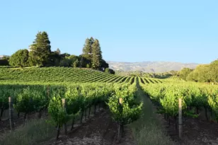 7596 Sonoma Mountain Rd, Glen Ellen, CA 95442 - Photo 46