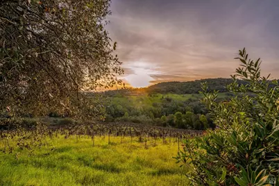 969 Rachael Road, Sonoma, CA 95476 - Photo 74