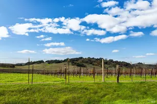 132 Bear Flag Rd, Sonoma, CA 95476 - Photo 26