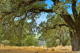 31000 Pine Mountain Rd, Cloverdale, CA 95425 - Photo 56