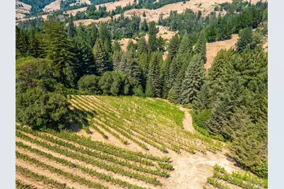 2151 Guntly Road, Philo, CA 95466 - Photo 42