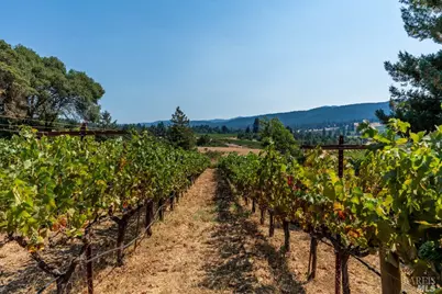 2151 Guntly Road, Philo, CA 95466 - Photo 40