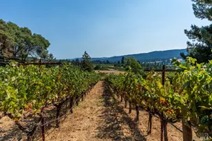 2151 Guntly Rd, Philo, CA 95466 - Photo 40