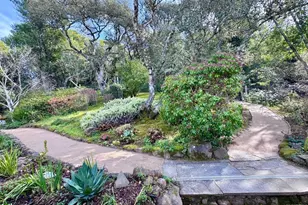 316 Rydal Ave, Mill Valley, CA 94941 - Photo 38