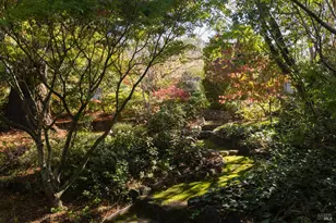 178 Palm Ave, San Rafael, CA 94901 - Photo 36