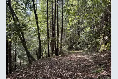 23501 Branscomb Road, Westport, CA 95488 - Photo 8