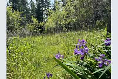 23501 Branscomb Road, Westport, CA 95488 - Photo 6