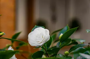 179 Oyster Pond Rd, Alameda, CA 94502 - Photo 74