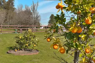 4782 Hall Rd, Santa Rosa, CA 95401 - Photo 24