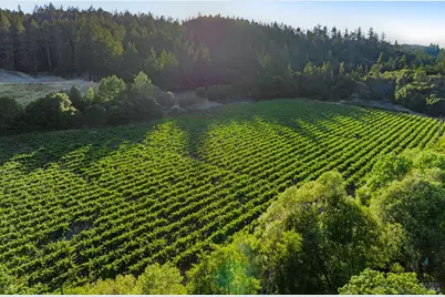 8320 Franz Valley Road, Calistoga, CA 94515 - Photo 74