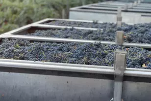 8320 Franz Valley Rd, Calistoga, CA 94515 - Photo 64