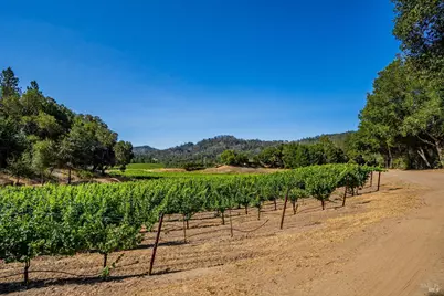 8320 Franz Valley Road, Calistoga, CA 94515 - Photo 60
