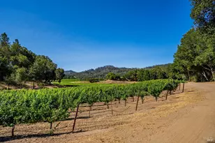 8320 Franz Valley Rd, Calistoga, CA 94515 - Photo 60